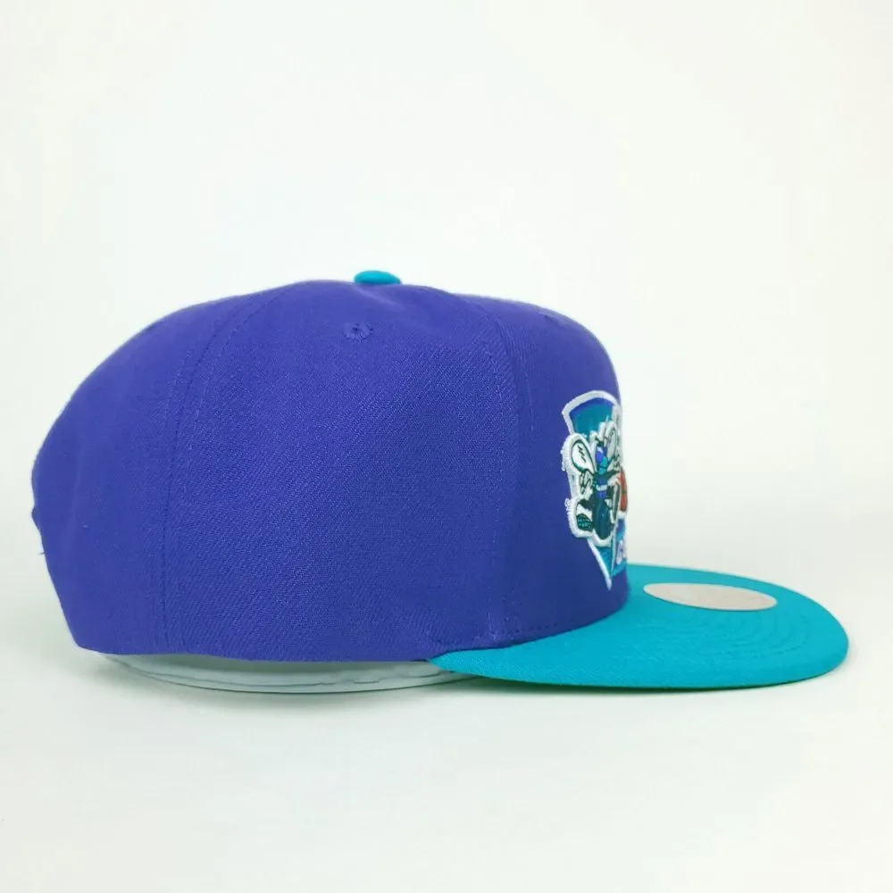 Mitchell & Ness charlotte hornets